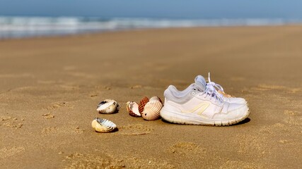 seashell and shoes on the beach