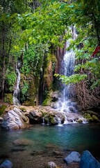 waterfall in the forest