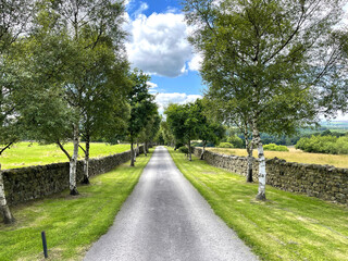 Country road, lined with trees, leading from, Farnley Lane, Bland Hill, Harrogate, UK