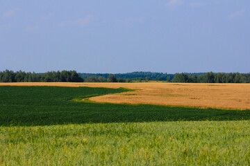 Curves of the boundaries of agronomic fields on the territory of Chuvashia in the summer season.