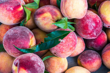 Produce from the Farmer's Market.