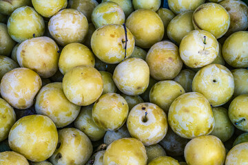 Produce from the Farmer's Market.