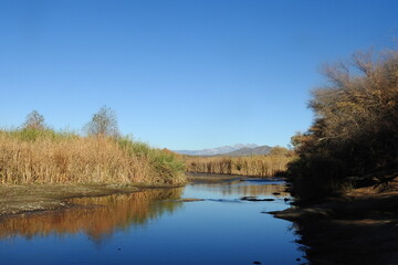 The beautiful spring scenery of the Salt River, in the Sonoran Desert, Tonto National Forest, Arizona.