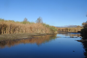 The beautiful spring scenery of the Salt River, in the Sonoran Desert, Tonto National Forest, Arizona.