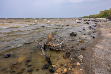 Lake Of The Woods - A very large lake with a rocky shore and interesting driftwood.