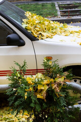 White Car covered in eyellow Autumn Leaves