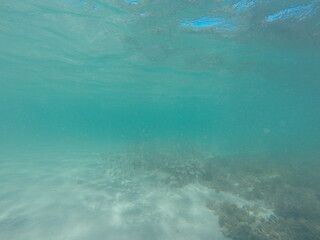 Ocean and fishes at Brazil Coast