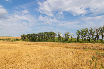 Beautiful landscape near Strazovice in the Czech Republic. Harvested grain in the field. Blue sky and clouds.