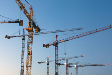 Cranes against clear blue sky