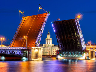 Obraz na płótnie Canvas Raised Palace bridge and Kunstkamera museum at night, Saint Petersburg, Russia