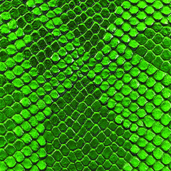 Green snake skin texture. Reptile and serpent scales surface. Graphic resource and background. Vector illustration.