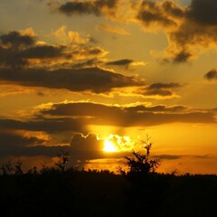 Fototapeta na wymiar Beautiful sunset with dark clouds and sunbeam