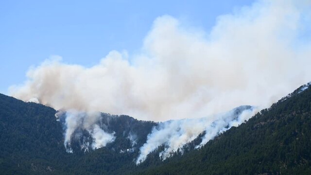 Forest Fires
