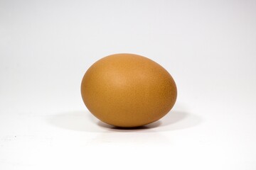 egg on white background
