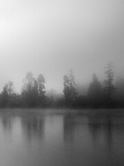 Obraz na płótnie Canvas Misty Pond