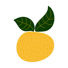 Doodle fruit pattern background for t shirt print or poster design.