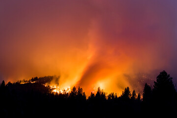 Fire in a heavily wooded area.  © Ty