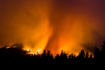 Fototapeta na wymiar Fire in a heavily wooded area. 