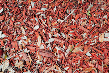 red and white rice close up decoration garden 