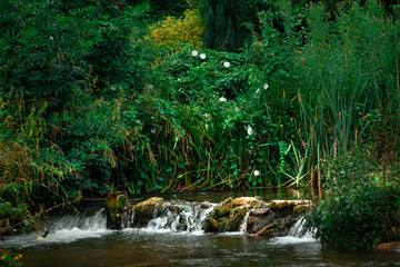 waterfall in the park
