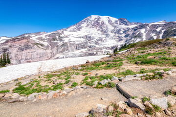trail in the mountains