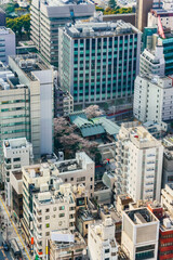 Fototapeta premium Bird's-eye view of the skyscrapers of Shiba-Shinmei Shopping Street dedicated to the name of the Shiba-daijingu Shinto Shrine surrounded by cherry blossoms.