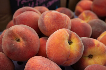 Fototapeta na wymiar Fresh Organic Peaches at a Farmers Market in California