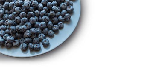 Plate of blueberries isolated on white background, top view with copy space