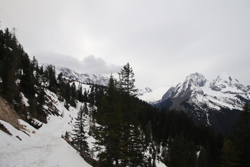 Obraz premium The path to Schachenhaus, Garmisch-Partenkirchen, Germany