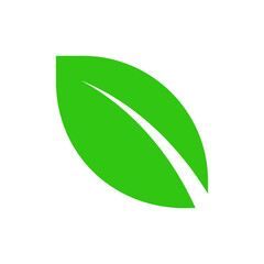 Leave. Vector green spring stylized leaf silhouette. Season tree leaf isolated on white background. Eco sign, nature label. Decorative element for medical, ecological brands.