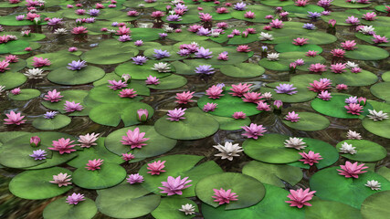 Pink lotus bloom in lotus pond waterlily nenuphar 3D illustration - obrazy, fototapety, plakaty