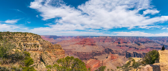 Arizona Grand Canyon Rim, Blue Sky with white clouds, Boy siting and  looking  horizon panorama 