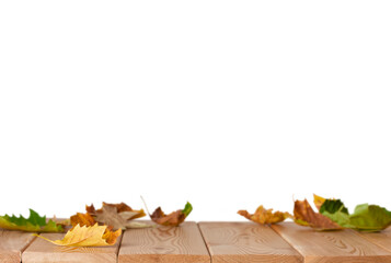 isolated maple leaves on the wood floor in the white background with copy space	