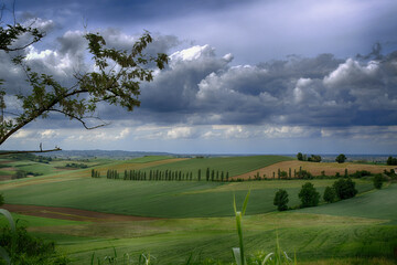 Monferrato - Lu