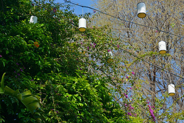 grass and flowers and lamps and tree