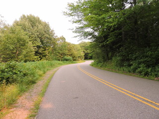 Fototapeta na wymiar Curve in a road through a forest