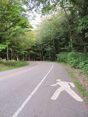 Pedestrian symbol on road through forest