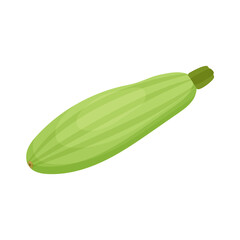 Zucchini icon isolated on white background