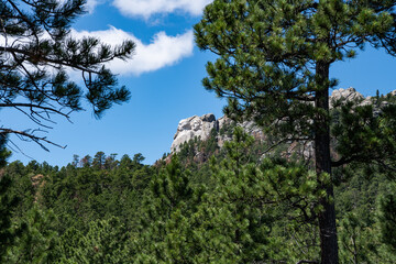 Fototapeta na wymiar Mount Rushmore side profile
