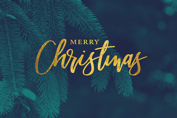 Gold Merry Christmas Christmas Calligraphy Script with Tree Evergreen Background