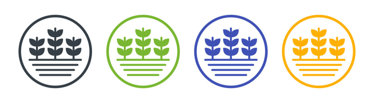 Agriculture crops icon. Farm plant symbol vector illustration.
