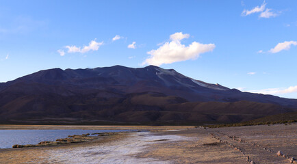 View of the Isluga volcano in a national park in Chile 