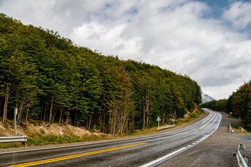 Wet road next to a forest on the outskirts of Ushuaia, Tierra del Fuego (Argentina)