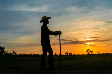 Male farmer holding a hoe in a field at sunset - obrazy, fototapety, plakaty