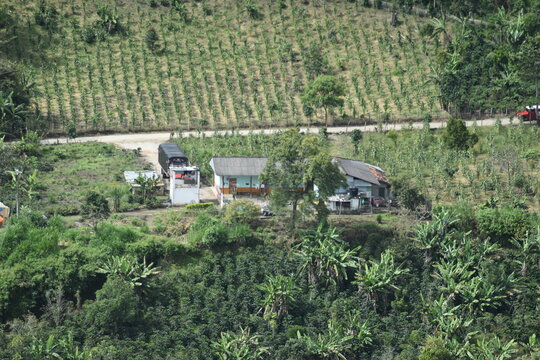 Finca cafetera colombiana
