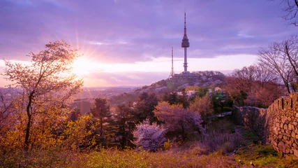 Tafelkleed View of sunset in seoul city with seoul tower at namsan public park. © Khomsan