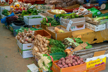 韓国のソウルの観光名所を旅行している風景 A scene from a trip to a tourist attraction in Seoul, South Korea.