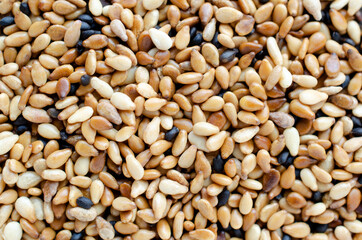 Dry organic brown sesame seed background, ready for food or dessert ingredient and for natural seasoning concept