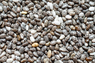 Closed up dry organic chia seed background ready for cooking. For healthy or food ingredient or agricultural product concept