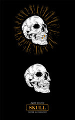 Anatomically correct human skull isolated on black background. Hand drawn line art vector illustration.	
